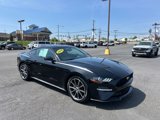 Used 2018 Ford Mustang Premium w/ Equipment Group 201A image 2