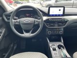 Certified 2022 Ford Escape SE image 2