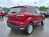 Used 2020 Ford EcoSport SE w/ SE Convenience Package image 4