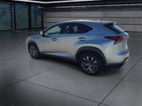 Certified 2019 Lexus NX 300 F Sport image 6