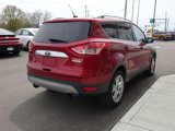 Used 2014 Ford Escape Titanium image 6