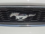 Used 2014 Ford Mustang Premium image 5
