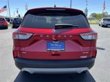 Used 2022 Ford Escape SE w/ Convenience Package image 6