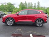 Used 2021 Ford Escape SEL w/ Technology Package image 4