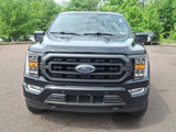 Used 2021 Ford F150 XLT w/ Equipment Group 302A High image 2