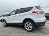 Used 2016 Ford Escape SE image 5
