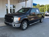 Used 2013 Ford F150 XLT w/ Luxury Equipment Group image 2