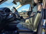 Used 2022 Ford Escape SEL image 4