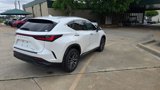 Used 2023 Lexus NX 350 AWD w/ Premium Package image 5