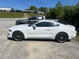 Used 2019 Ford Mustang Coupe w/ Equipment Group 101A image 6