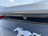 Used 2021 Ford Mustang Coupe w/ Equipment Group 101A image 4