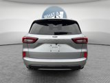 Used 2024 Ford Escape ST-Line image 4