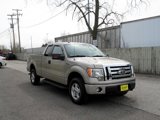 Used 2009 Ford F150 XLT image 2