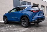 Used 2023 Lexus NX 350 AWD image 4