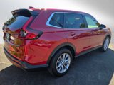 Used 2024 Honda CR-V EX-L image 3