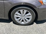 Used 2012 Honda Accord EX-L image 5