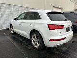 Used 2020 Audi Q5 2.0T Premium Plus image 4