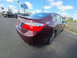 Used 2014 Honda Accord Sport image 6