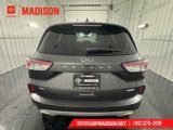 Used 2020 Ford Escape SE image 3