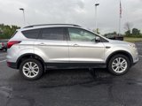 Used 2019 Ford Escape SEL image 2