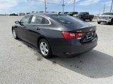 Used 2022 Chevrolet Malibu LS w/ Driver Confidence Package II image 5