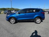 Used 2019 Ford Escape SE image 2