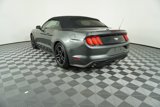 Used 2019 Ford Mustang Premium image 5