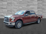 Used 2015 Ford F150 XLT image 5
