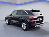 Used 2020 Ford Escape SE image 5