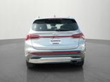 Used 2022 Hyundai Santa Fe SEL w/ Convenience + Premium Package image 6