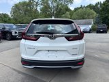 Used 2022 Honda CR-V Special Edition image 6