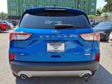 Used 2020 Ford Escape SE image 5
