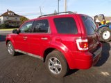 Used 2010 Ford Escape XLT image 5