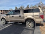 Used 2013 Ford F150 XLT w/ Luxury Equipment Group image 2