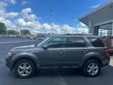 Used 2011 Ford Escape Limited w/ 302A Rapid Spec Order Code image 4