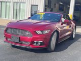 Used 2017 Ford Mustang Premium w/ Equipment Group 201A image 5