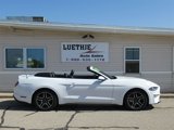 Used 2018 Ford Mustang Premium w/ Equipment Group 201A image 6