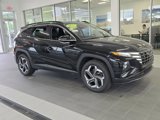 Used 2022 Hyundai Tucson Limited image 2