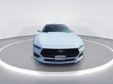 Used 2024 Ford Mustang Premium image 3