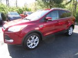 Used 2016 Ford Escape Titanium image 5