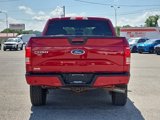 Used 2017 Ford F150 XLT w/ Equipment Group 302A Luxury image 6