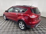Used 2014 Ford Escape SE w/ Equipment Group 201A image 4