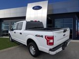 Certified 2020 Ford F150 XL w/ Equipment Group 101A Mid image 3