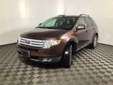 Used 2010 Ford Edge SEL image 4