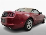 Used 2014 Ford Mustang Convertible w/ Equipment Group 102A image 5