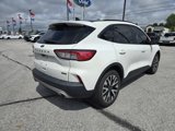 Used 2020 Ford Escape SE Sport image 3