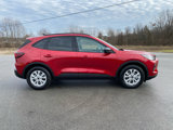 New 2025 Ford Escape Active w/ Cold Weather Package image 3