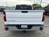 Used 2019 Chevrolet Silverado 1500 LT w/ All-Star Edition image 5