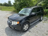 Used 2011 Ford Escape XLT w/ 202A Rapid Spec Order Code image 2