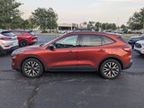 Used 2020 Ford Escape SE Sport image 4